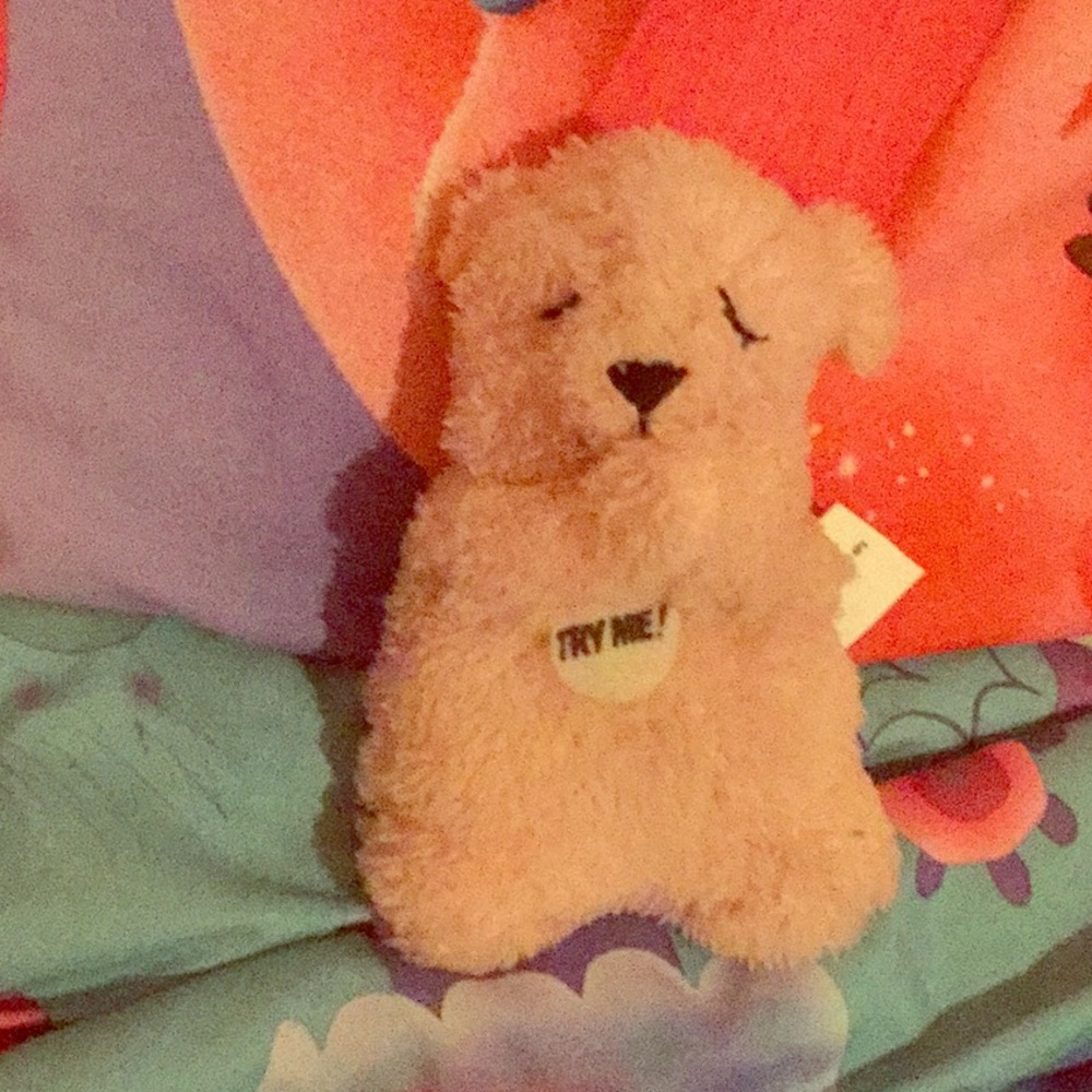 Toy bear